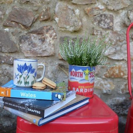 Cattle Shed Cottage Narberth Bagian luar foto