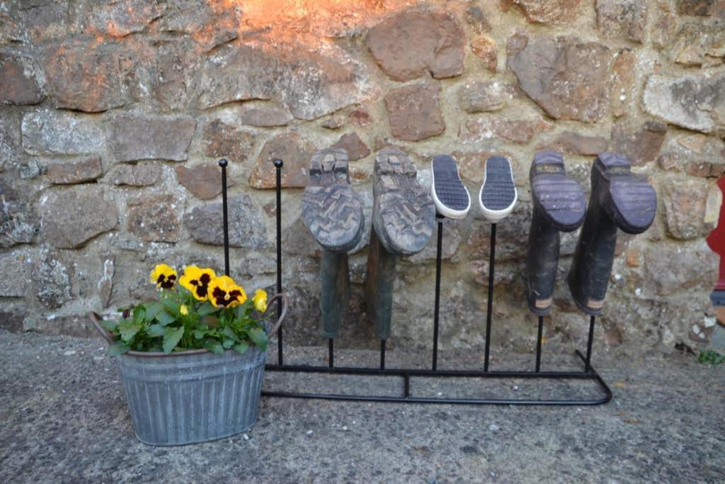 Cattle Shed Cottage Narberth Bagian luar foto