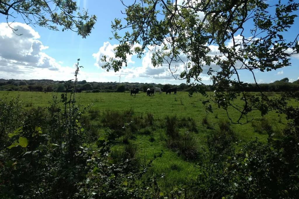 Cattle Shed Cottage Narberth Bagian luar foto