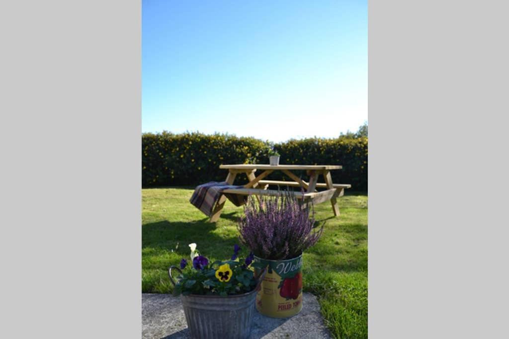 Cattle Shed Cottage Narberth Bagian luar foto